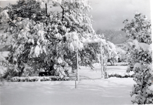 snow